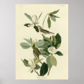 Poster Flycatcher (Devant)