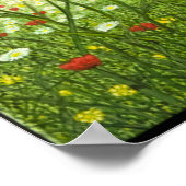 Poster Flyers élevés 2011 (Coin)