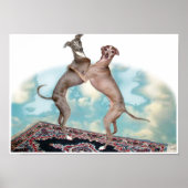 Poster Flyers peu fréquents (Devant)