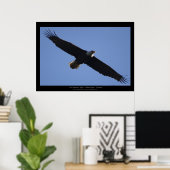 Poster Flying Bald Eagle Wildlife Photo Print (Bureau à domicile)