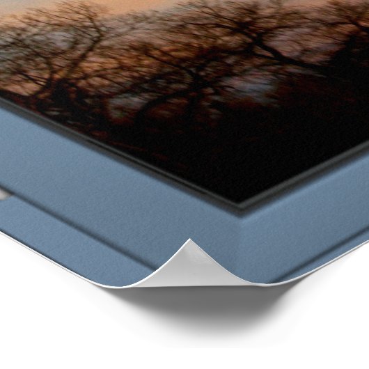 Poster Flying Bird Image Scenery - Illusion (Coin)