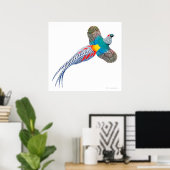 Poster Flying Lady Amherst Pheasant Print (Bureau à domicile)