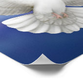 Poster Flying Peace Dove Print (Coin)