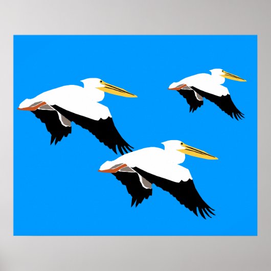 Poster Flying Pelican in Blue Oval (Devant)