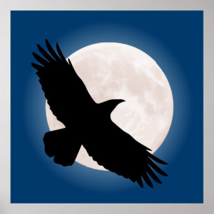 Poster Flying raven avec la lune derrière elle