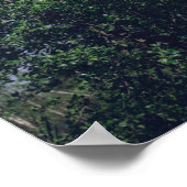 Poster Flying Swan Nature Oiseau Vie sauvage (Coin)