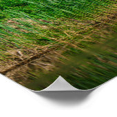 Poster Flying Swan Nature Oiseau Vie sauvage (Coin)