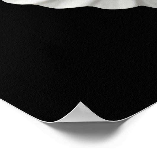 Poster Flying White Dove Print (Coin)