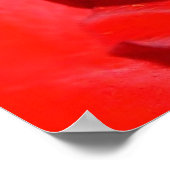 Poster fm rose (Coin)