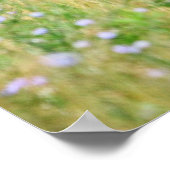 Poster Foal et fleurs (Coin)