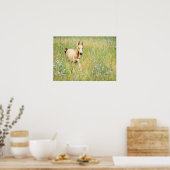 Poster Foal et fleurs (Cuisine)