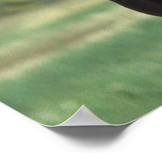 Poster Foals Jouer 2 (Coin)