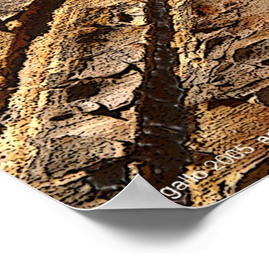 Poster Focus par Gregory Gallo (Coin)