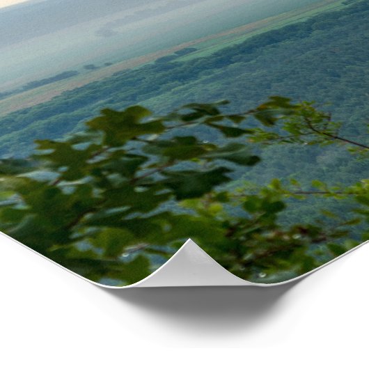 Poster Foggy À Petit Jean (Coin)