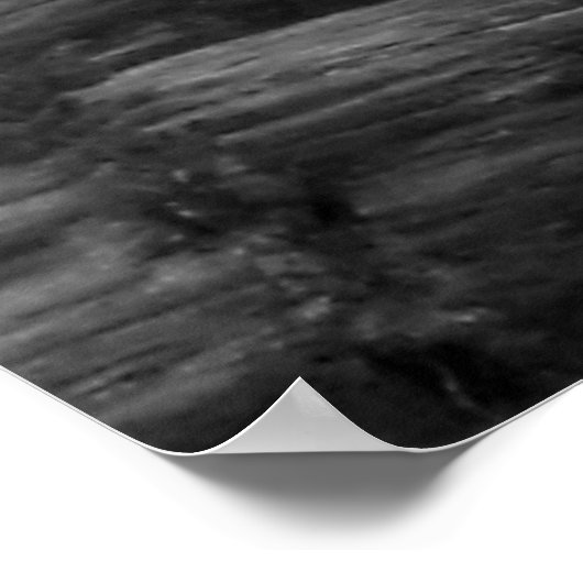 Poster Foggy Day (Coin)