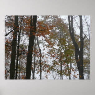 Poster Foggy Fall en Pennsylvanie Automne Nature