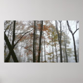 Poster Foggy Fall en Pennsylvanie Automne Nature (Devant)