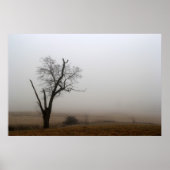 Poster Foggy Meadow (Devant)
