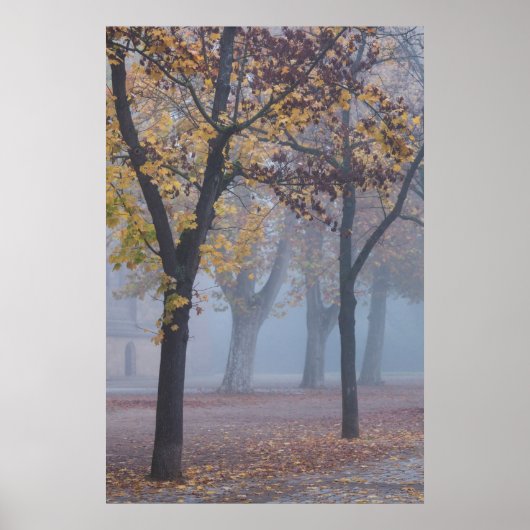Poster Foggy Morning dans le parc de la Cathédrale (Devant)