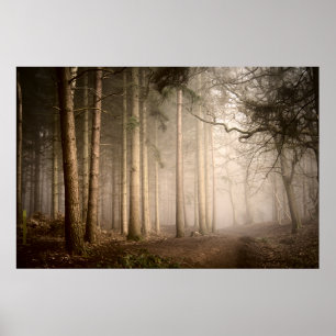 Poster Foggy Morning Rushmere Country Park (0842)