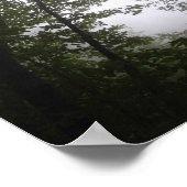 Poster Foggy Pacific Dogwoods Forest (Coin)