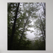 Poster Foggy Pacific Dogwoods Forest (Devant)