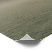 Poster Foggy Winter Sunrise (6598) (Coin)