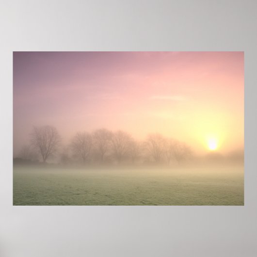 Poster Foggy Winter Sunrise (6598) (Devant)