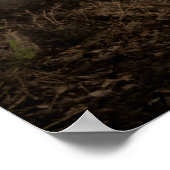 Poster Foggy Woodland Rushmere Country Park (0837) (Coin)