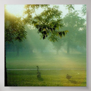 Poster foggygeese