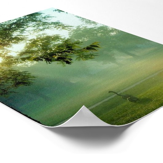 Poster foggyne (Coin)