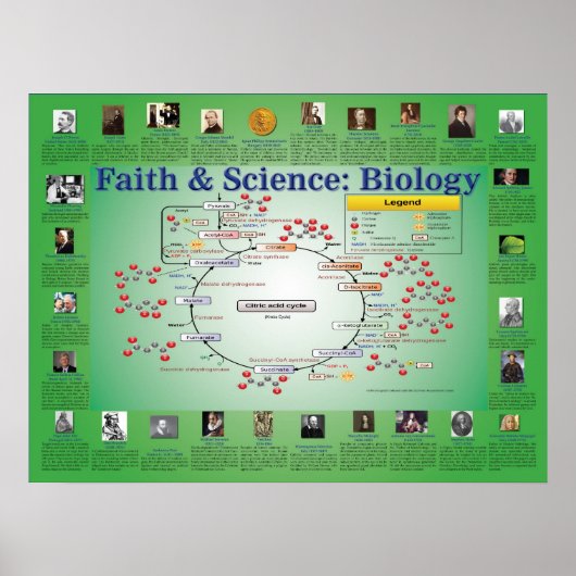 Poster Foi et science : Biologie (cycle Krebs) (Devant)