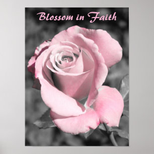 Poster Foi rose