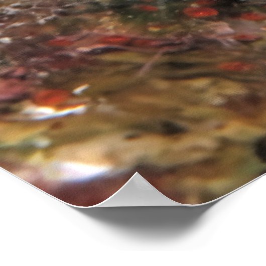 Poster Foie de sable dans le corail (Coin)