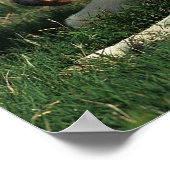 Poster Foie Miniature Pointé (Coin)