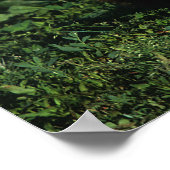 Poster Foie Thoroughbred allongé (Coin)