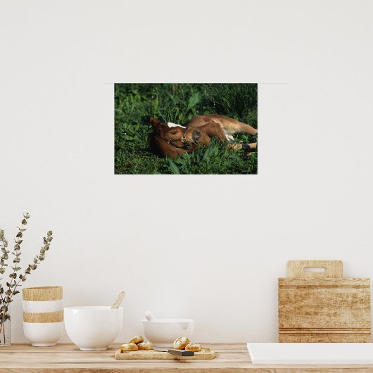 Poster Foie Thoroughbred allongé (Cuisine)