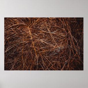 Poster foin Brown