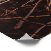 Poster foin Brown (Coin)