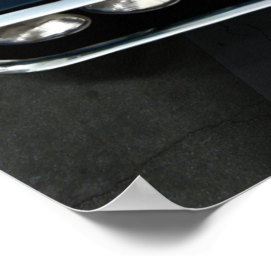 Poster Foiseau (Coin)