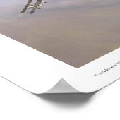 Poster Fokker D.III (Coin)