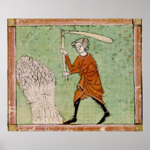 Poster Fol.59r Août : Threshing Wheat