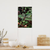 Poster Folhas (Keuken)