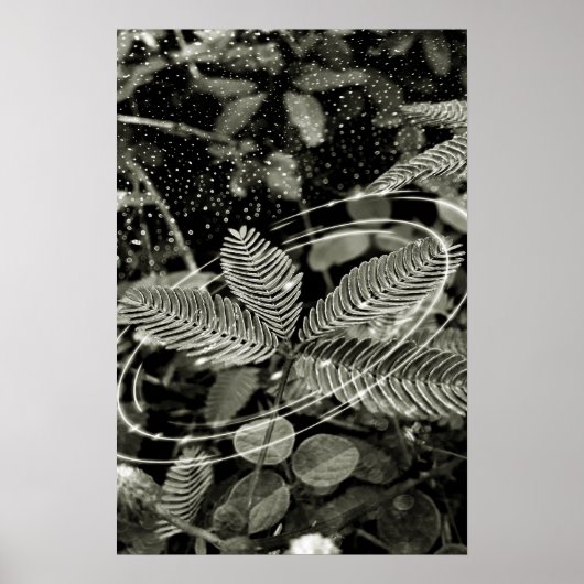 Poster Folhas - Green (Devant)