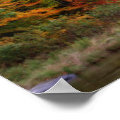 Poster Foliage d'automne Bordage Rivière Orton Art (Coin)