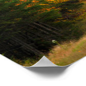 Poster Foliage d'automne Nouvelle-Angleterre (Coin)