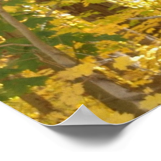 Poster Foliage d'or (Coin)