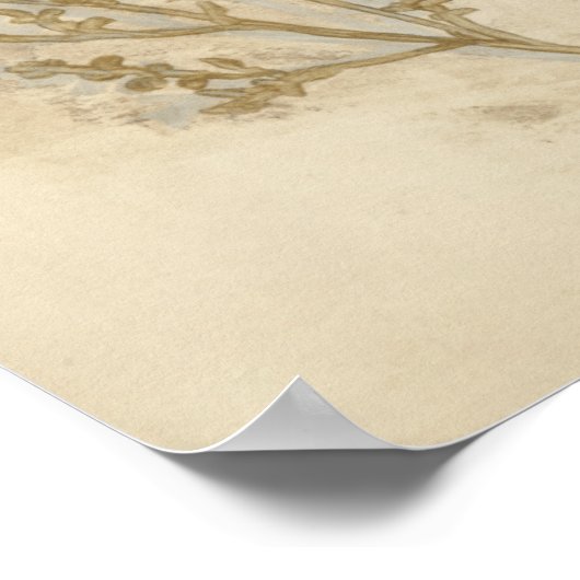 Poster Foliage doré II (Coin)