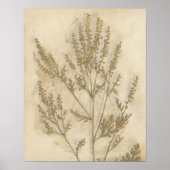 Poster Foliage doré II (Devant)