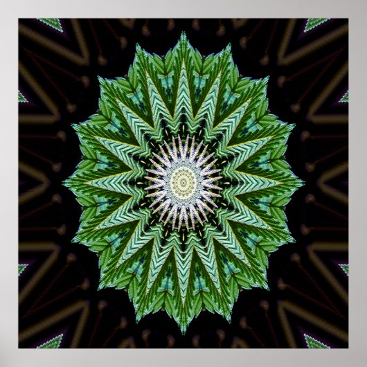 Poster Foliage Mandala....... (Devant)